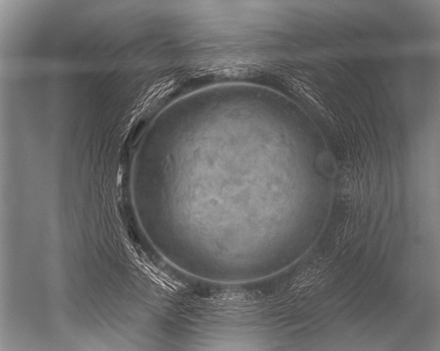 X0000052570738200507081701