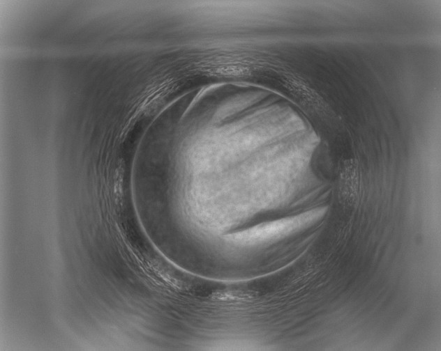 X0000052570739200507081701