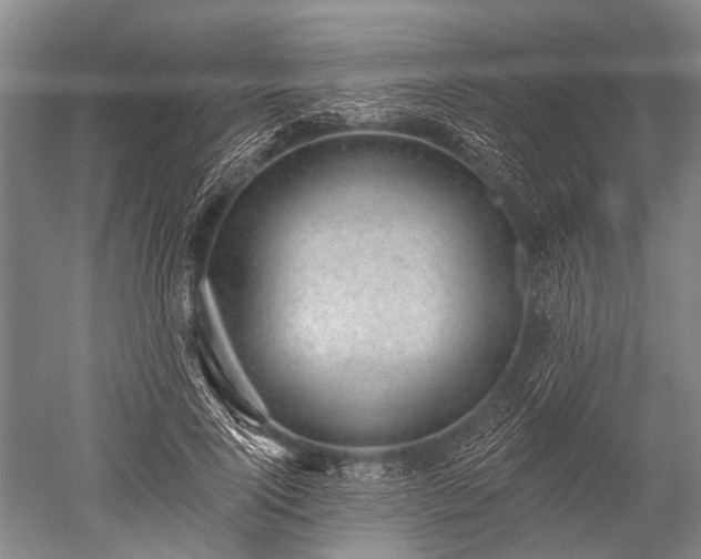 X0000052570740200507081701