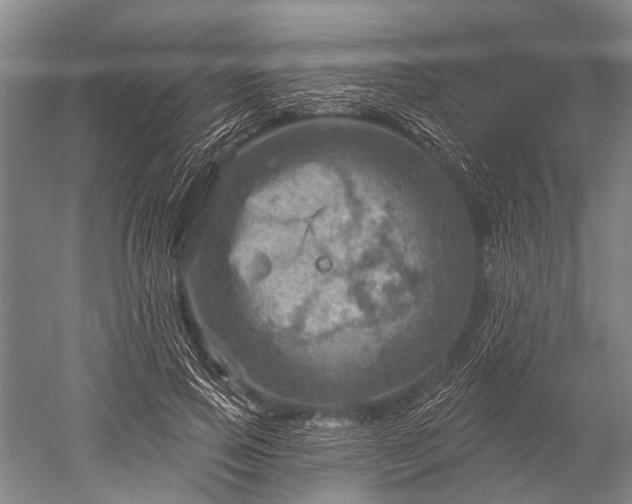 X0000052570741200507081701