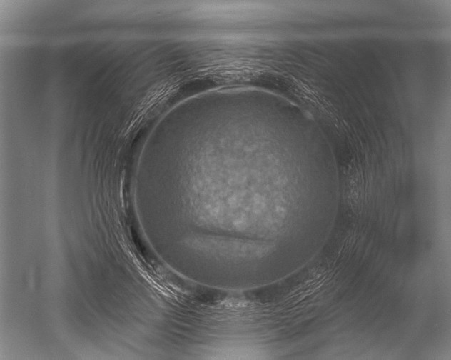 X0000052570742200507081701