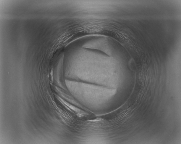 X0000052570743200507081701