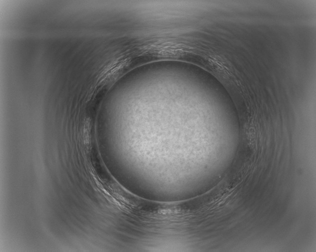 X0000052570744200507081701