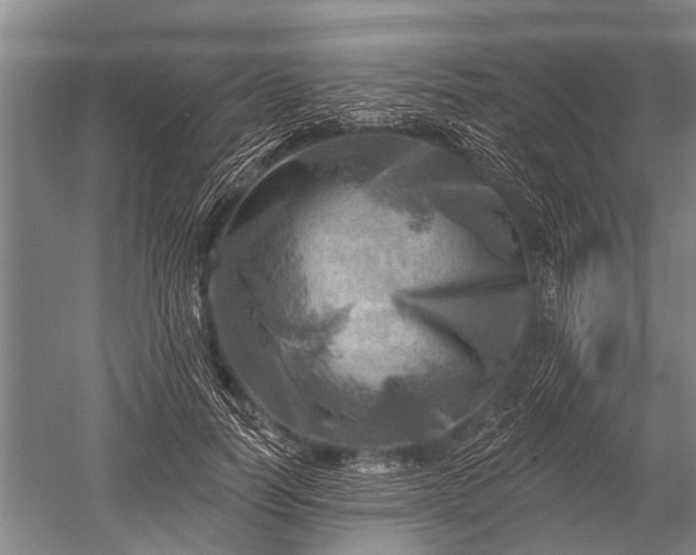 X0000052570746200507081701