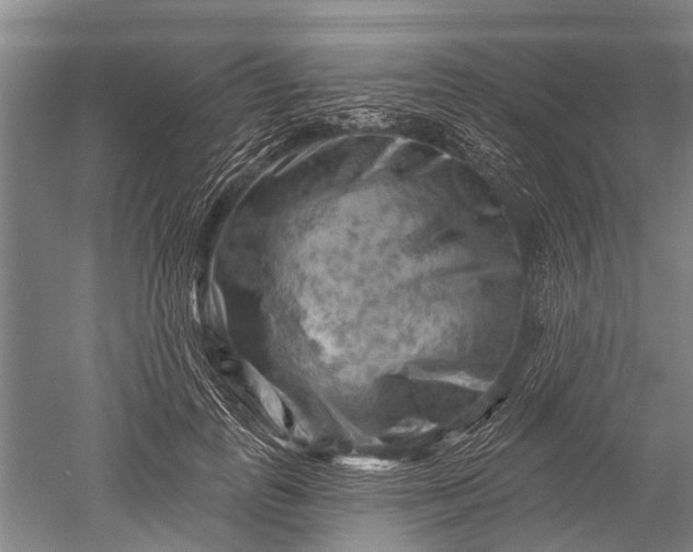 X0000052570747200507081701