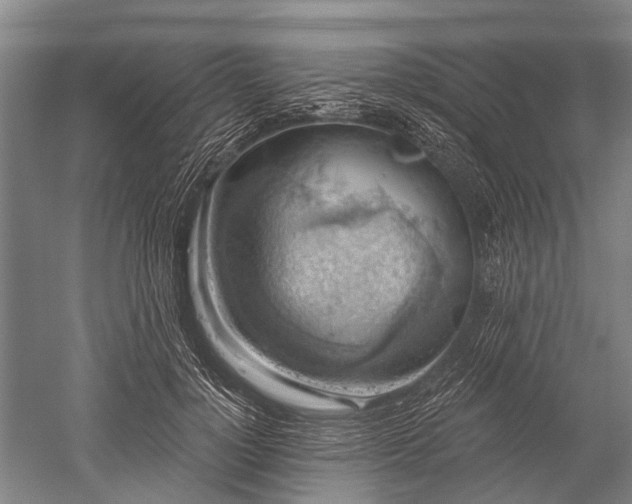 X0000052570748200507081701