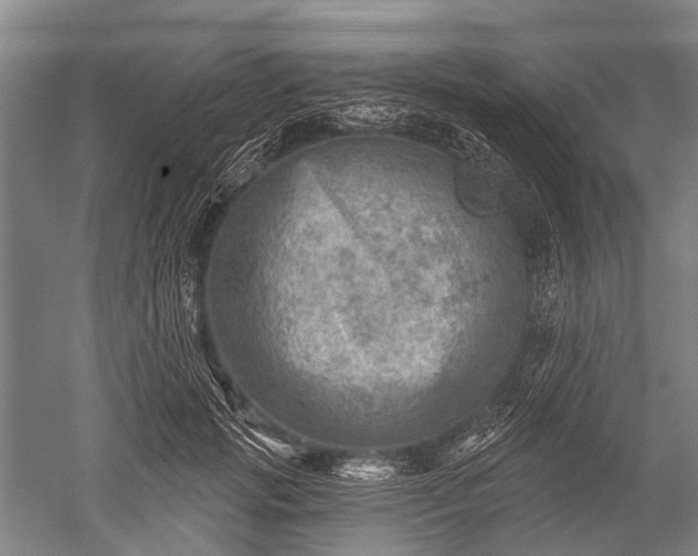 X0000052570749200507081701