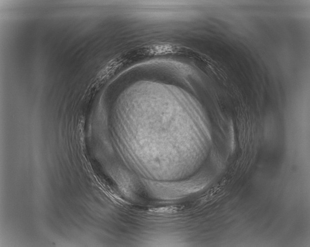 X0000052570750200507081701