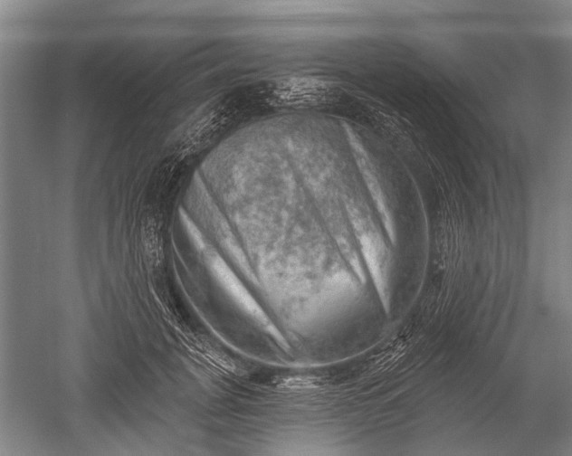 X0000052570751200507081701