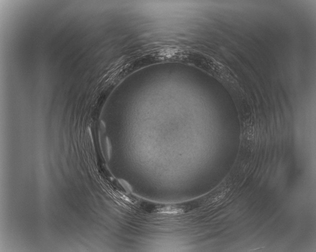 X0000052570754200507081701