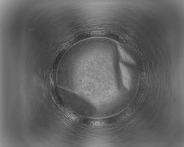 X0000052570755200507081701