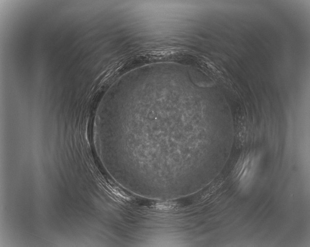 X0000052570758200507081701