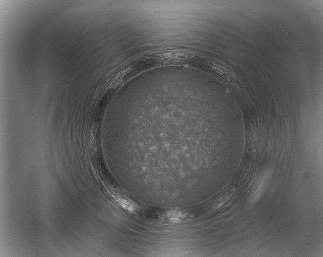 X0000052570759200507081701