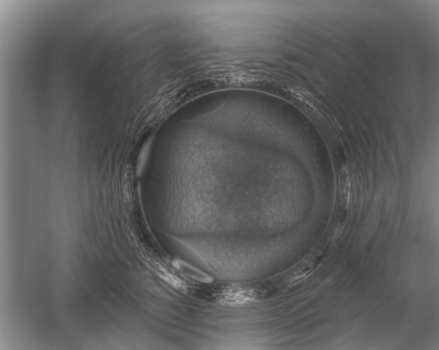 X0000052570760200507081701