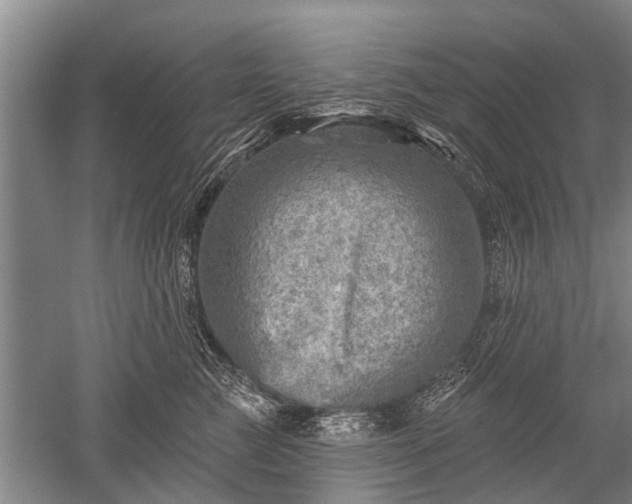 X0000052570761200507081701