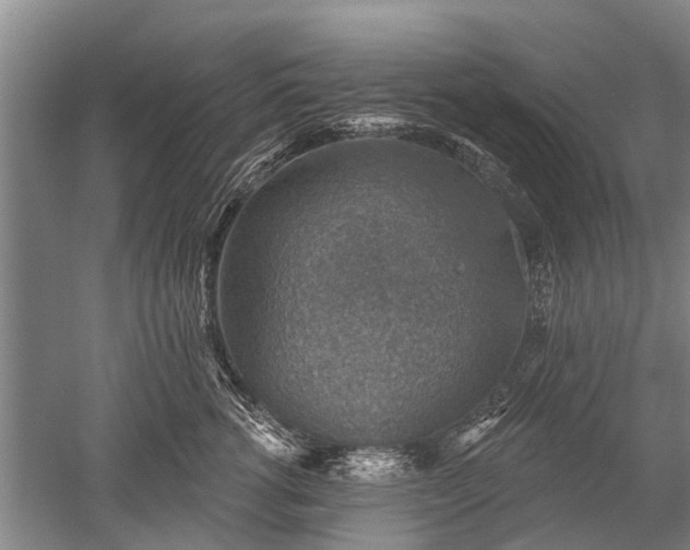 X0000052570762200507081701