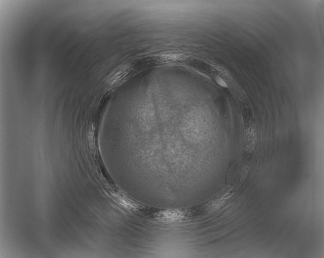 X0000052570765200507081701