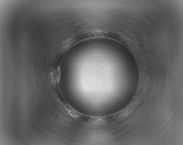 X0000052570768200507081701