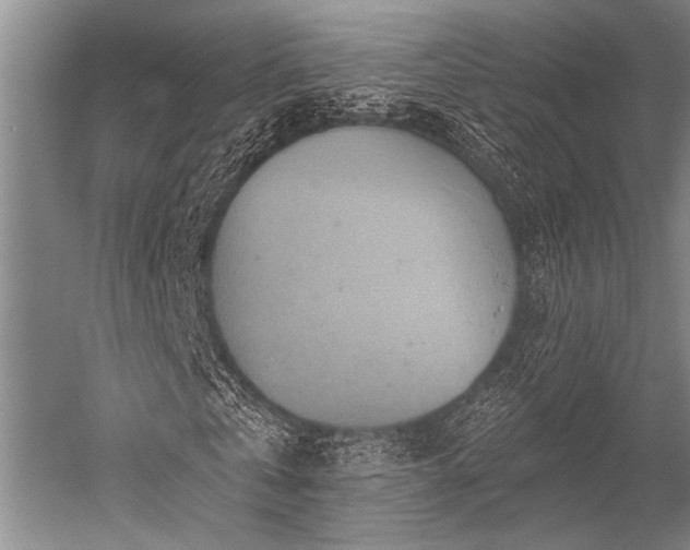 X0000052570769200507081701