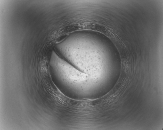 X0000052570770200507081701