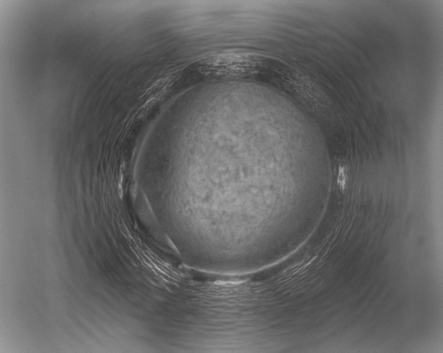 X0000052570771200507081701