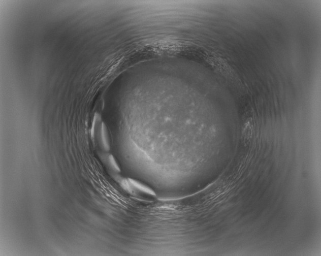 X0000052570772200507081701