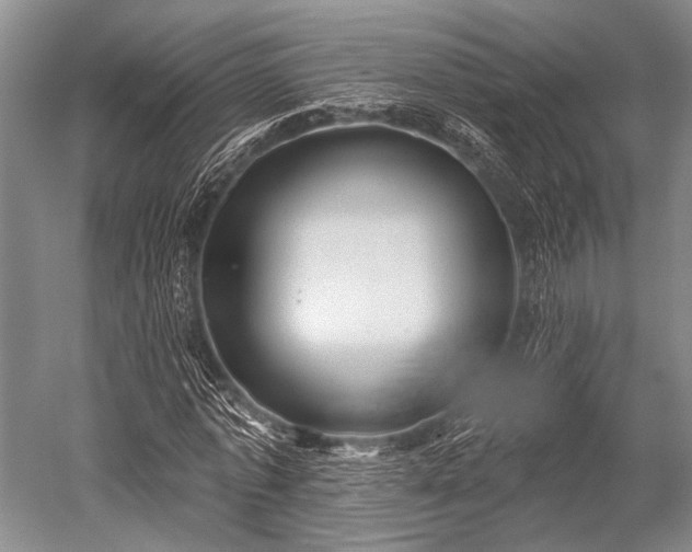 X0000052570773200507081701