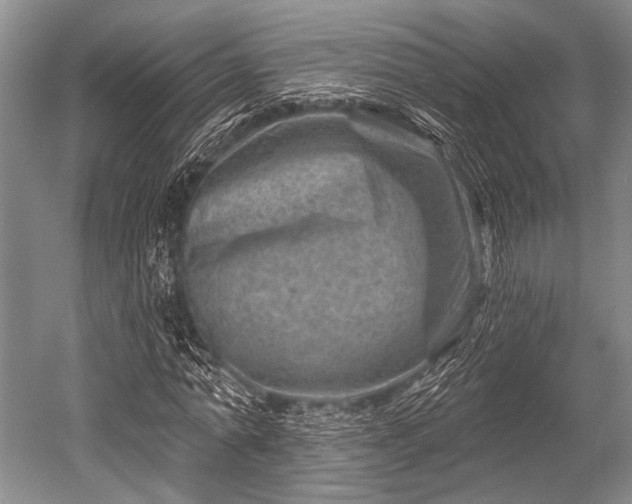 X0000052570774200507081701