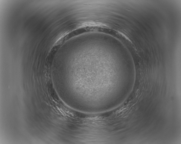 X0000052570775200507081701