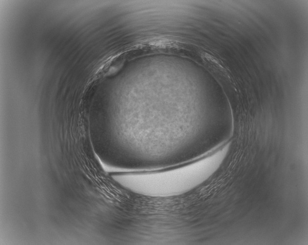 X0000052570776200507081701