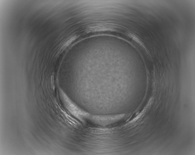 X0000052570777200507081700