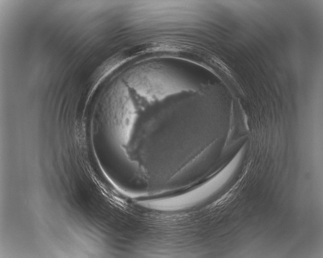 X0000052570779200507081700