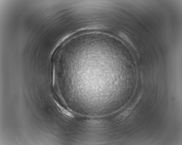 X0000052570781200507081700