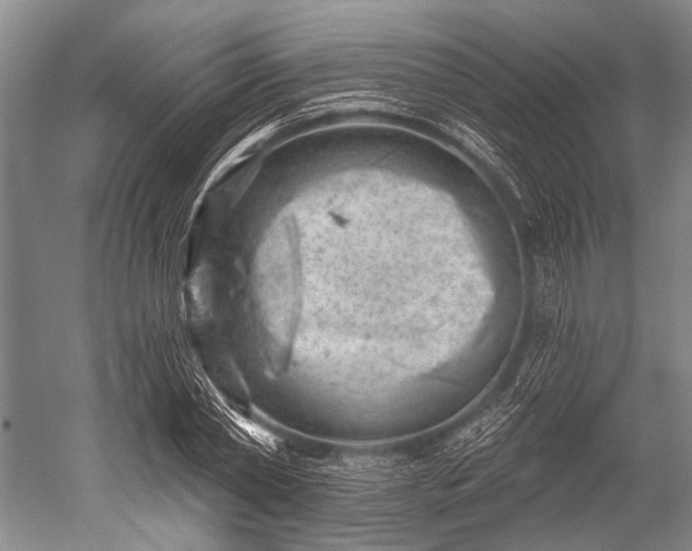 X0000052570782200507081700