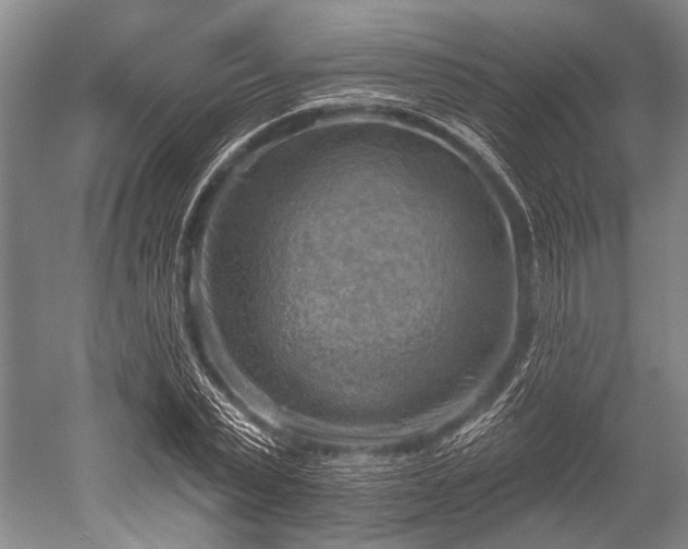 X0000052570783200507081700