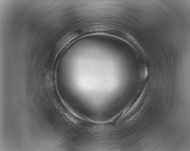 X0000052570786200507081700