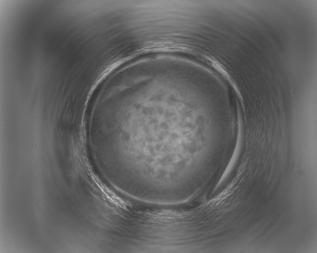 X0000052570787200507081700