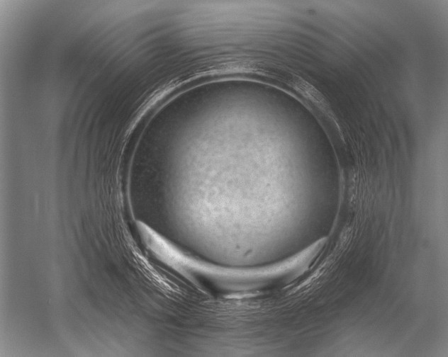 X0000052570789200507081700