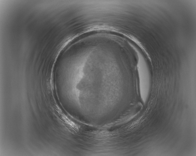 X0000052570791200507081700