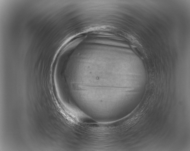 X0000052570792200507081700