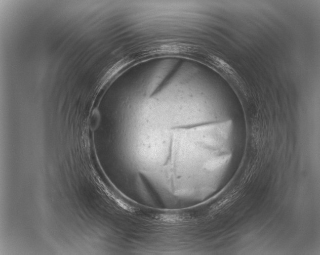 X0000052570794200507081700