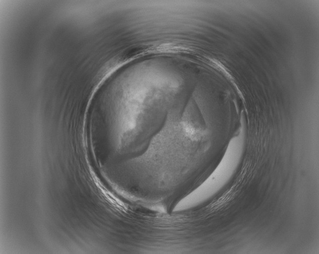 X0000052570795200507081700