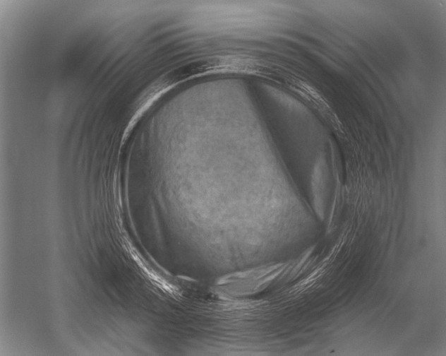 X0000052570796200507081700