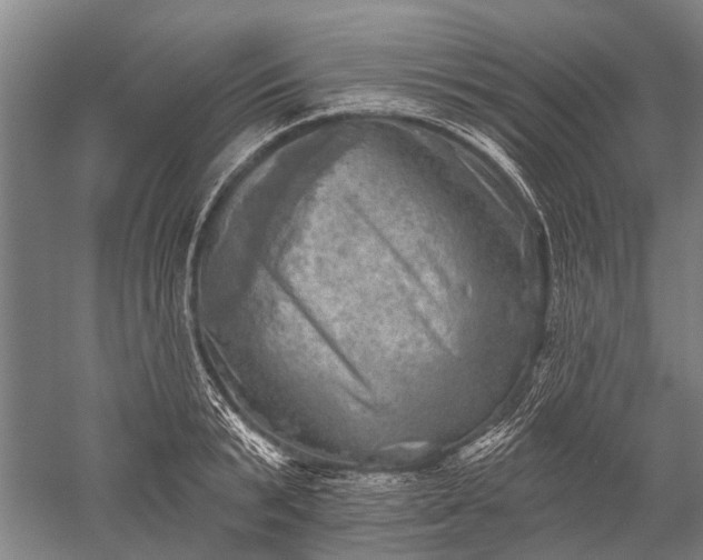 X0000052570799200507081700