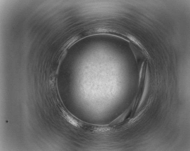 X0000052570801200507081700