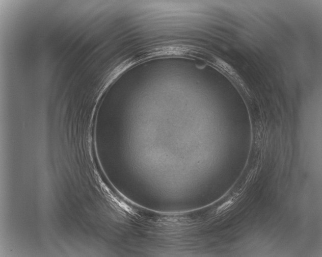 X0000052570802200507081700