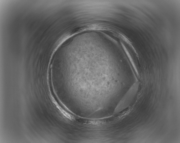 X0000052570803200507081700