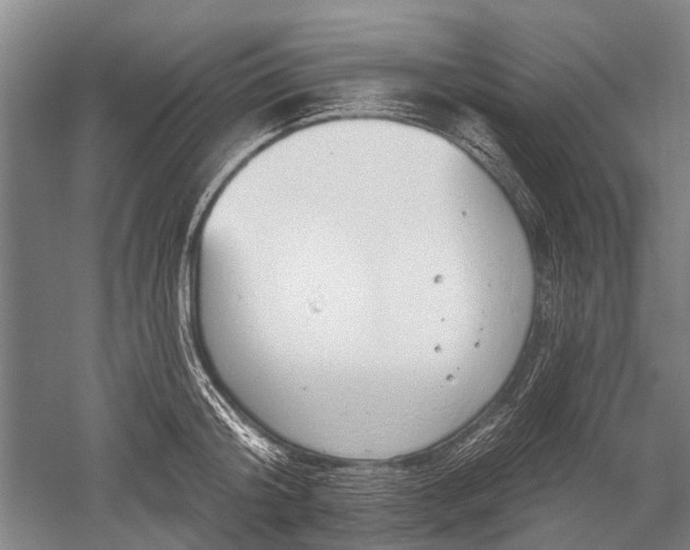 X0000052570804200507081700