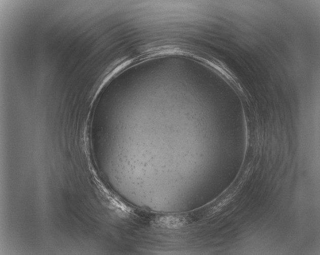 X0000052570806200507081700