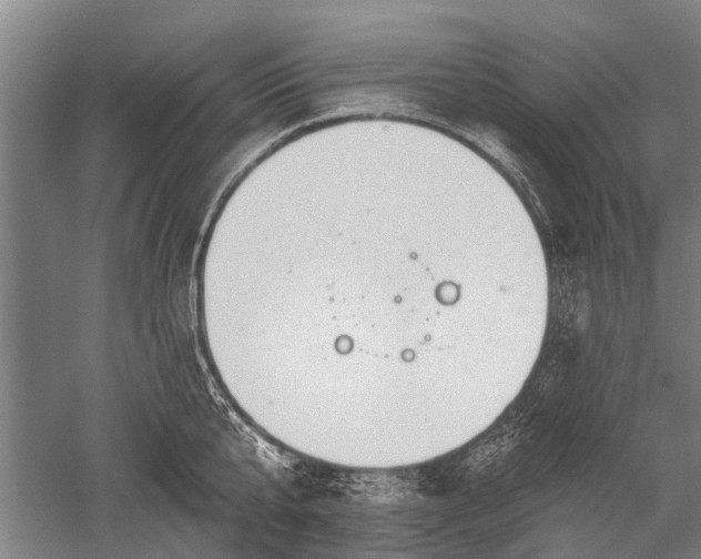 X0000052570807200507081700